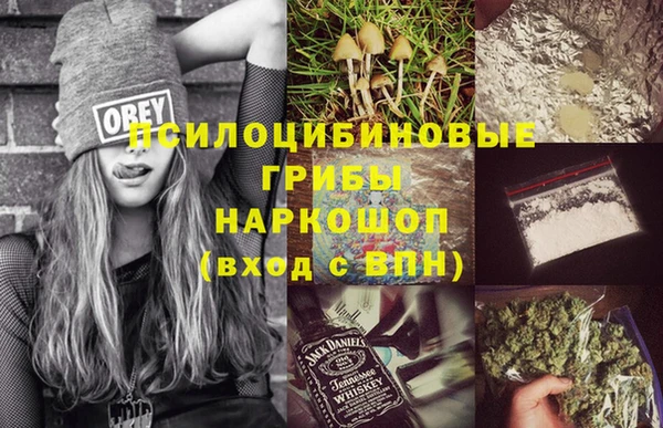 apvp Архангельск