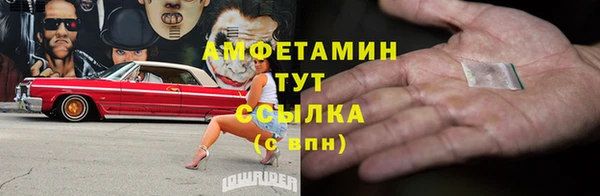 ПСИЛОЦИБИНОВЫЕ ГРИБЫ Нижний Тагил