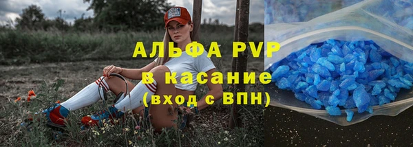 ПСИЛОЦИБИНОВЫЕ ГРИБЫ Нижний Тагил