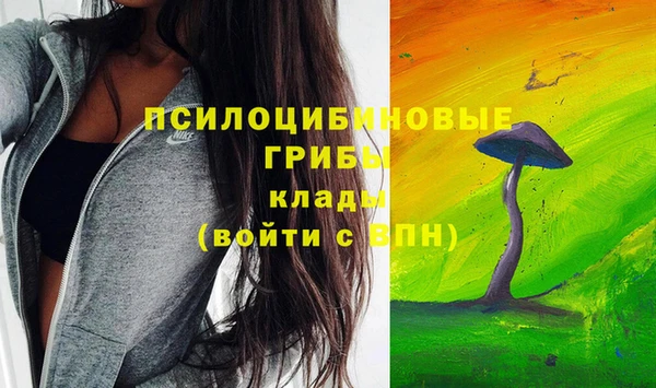 ПСИЛОЦИБИНОВЫЕ ГРИБЫ Нижний Тагил