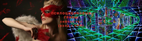 apvp Архангельск