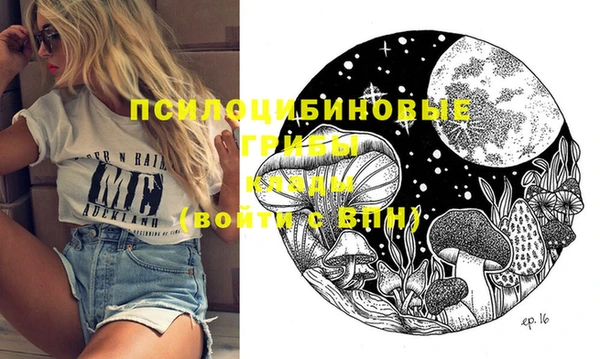 apvp Архангельск