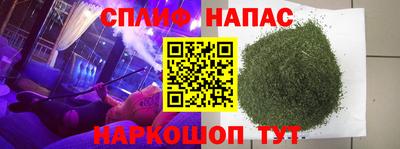 бошки Дубна