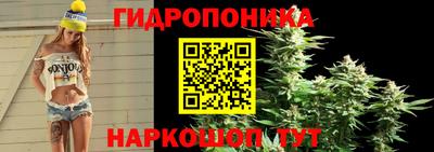 бошки Дубна
