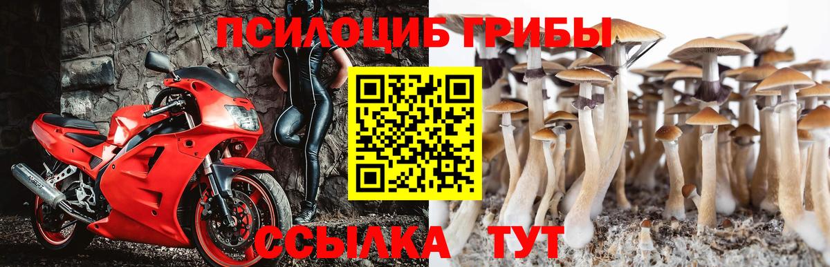 Галлюциногенные грибы Magic Shrooms  где можно купить наркотик  Таганрог 