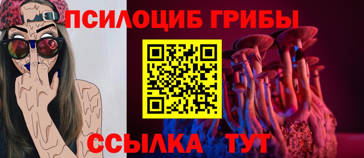 Таганрог  Галлюциногенные грибы Psilocybe  Вход с VPN 